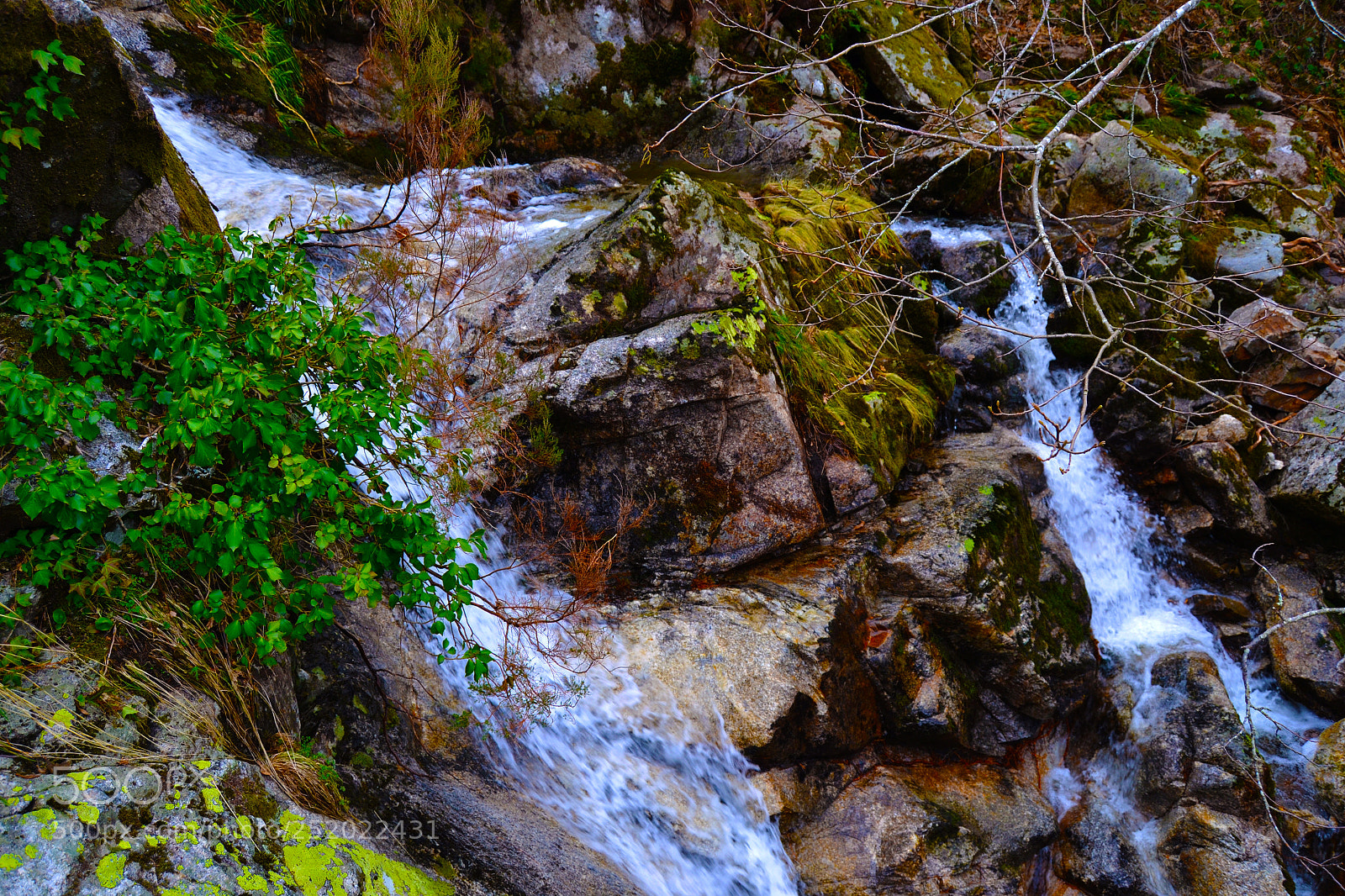 Nikon D3100 sample photo. Torrente de agua. sierra photography