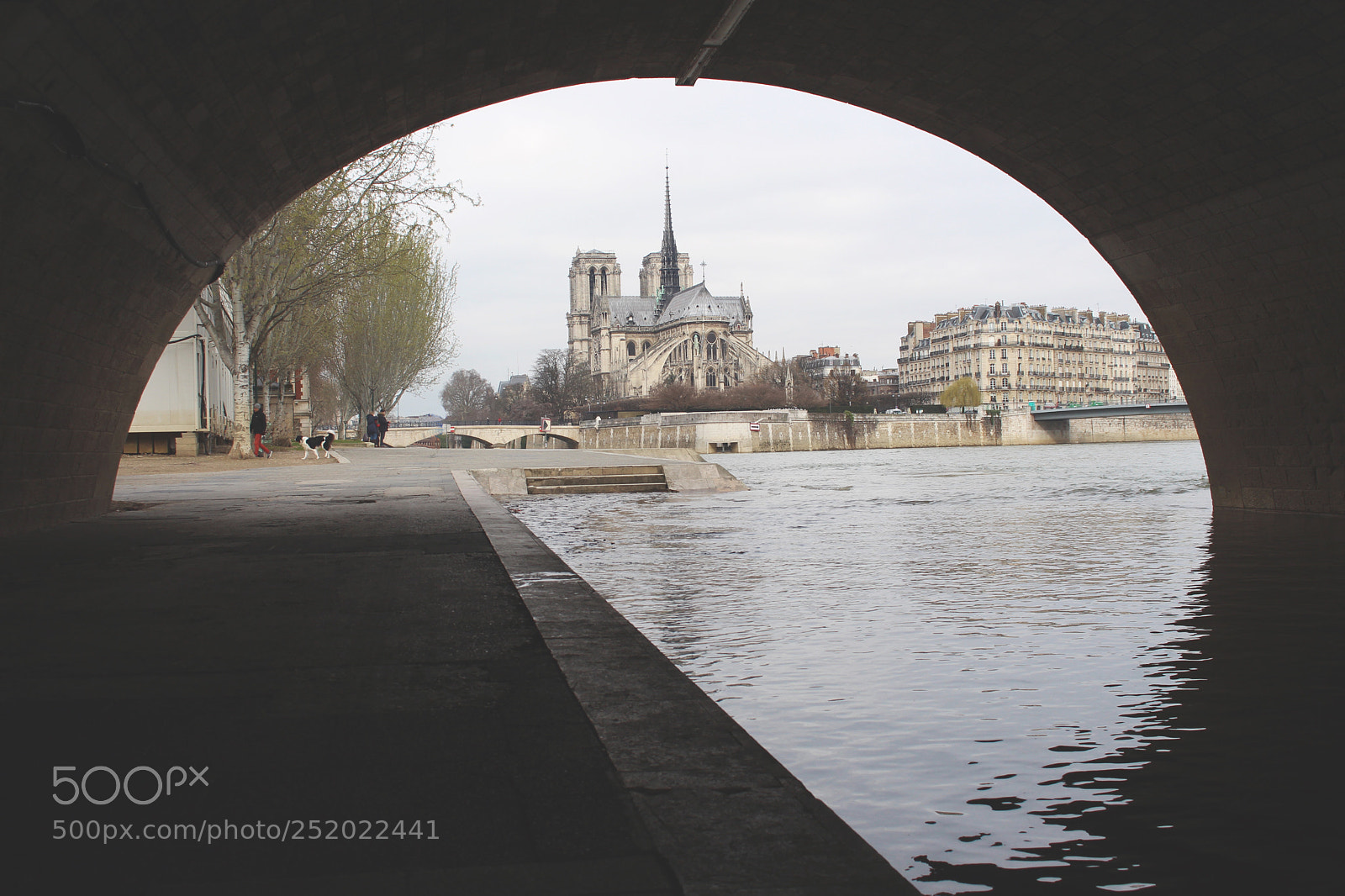 Canon EOS 700D (EOS Rebel T5i / EOS Kiss X7i) sample photo. Notre-damme de paris photography