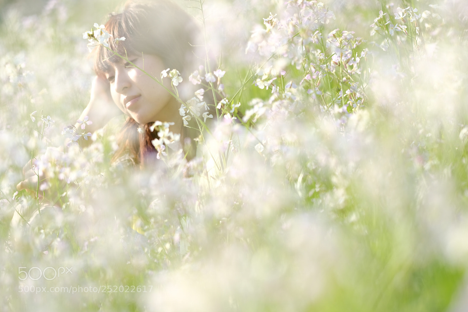 Fujifilm X-T2 sample photo. Untitled photography