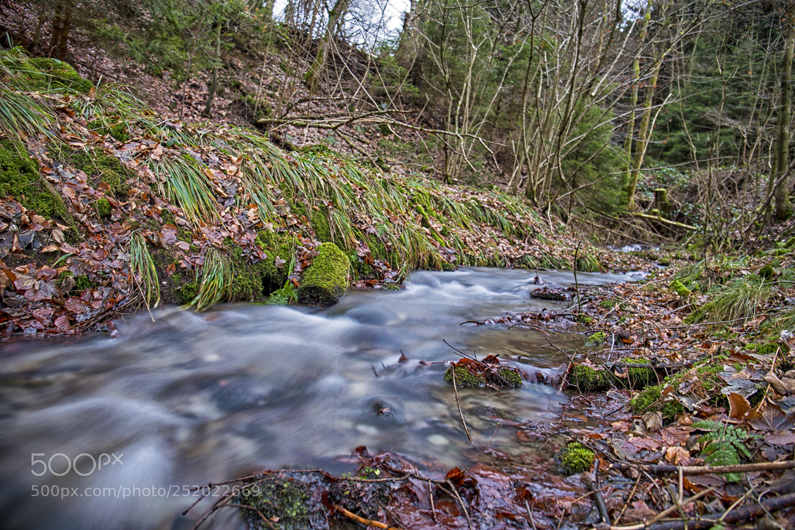 Canon EOS 6D Mark II sample photo. Olsberg winterseite 1 photography