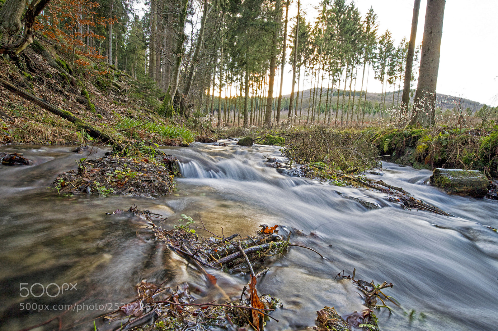 Canon EOS 6D Mark II sample photo. Olsberg winterseite 2 photography