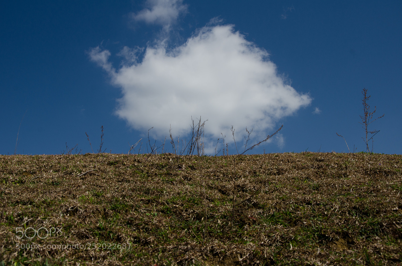 Nikon D7000 sample photo. Beyond photography
