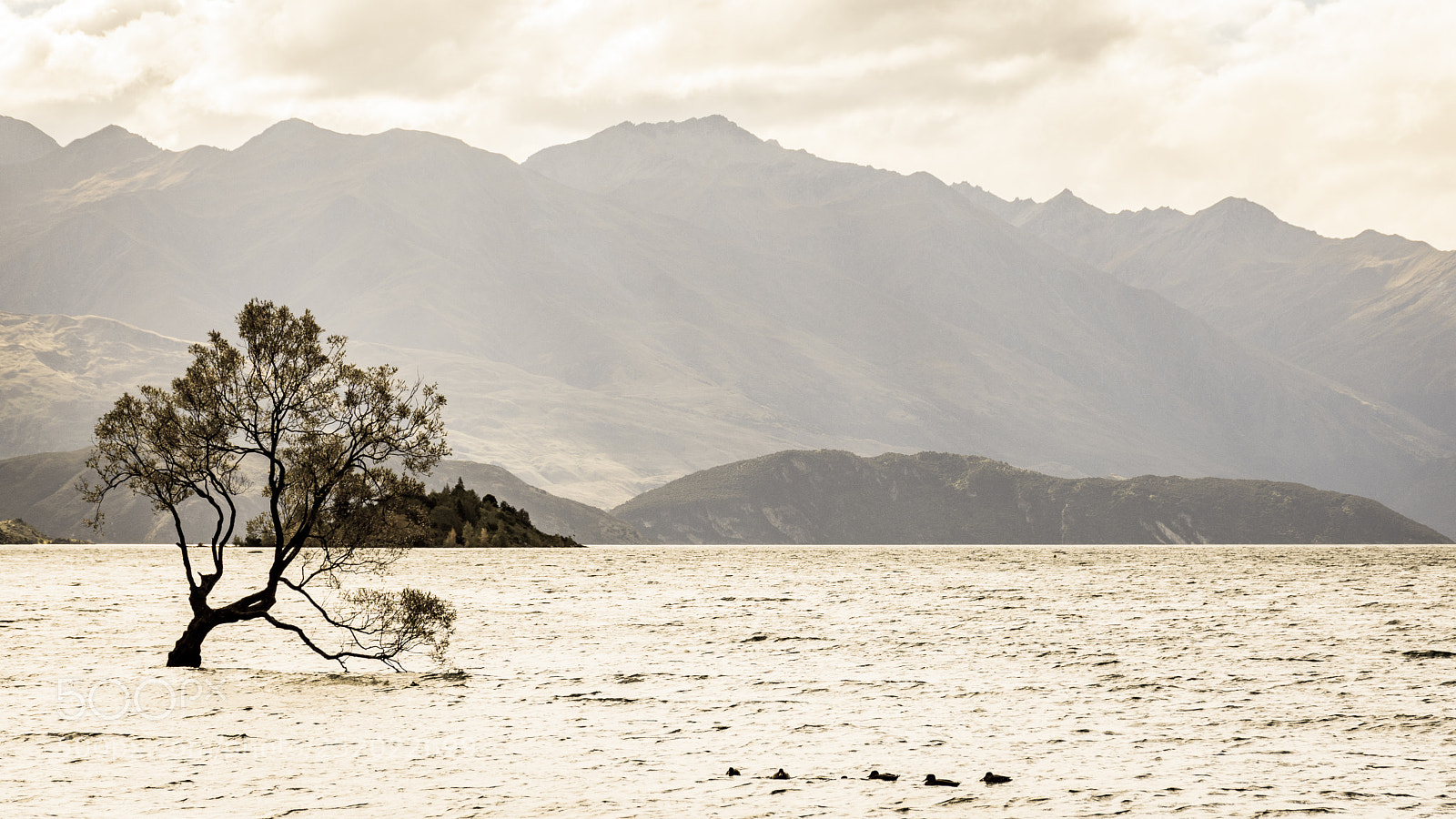 Nikon D7200 sample photo. Solitude photography