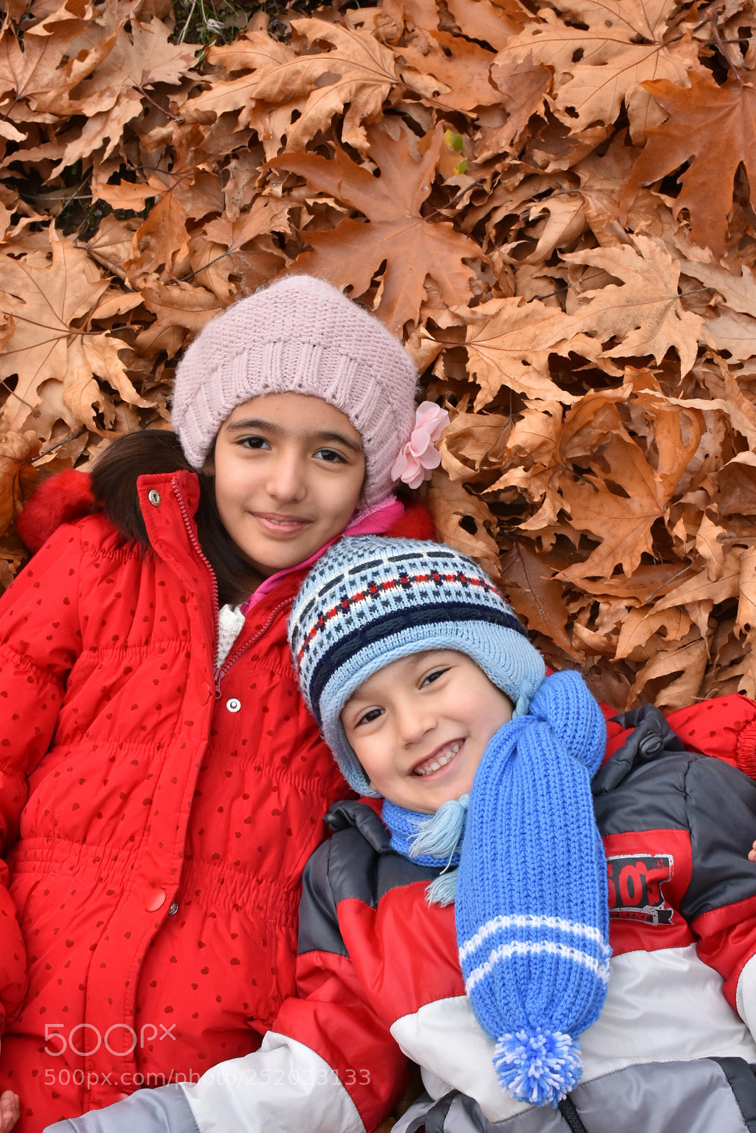 Nikon D7200 sample photo. Golden leaves photography