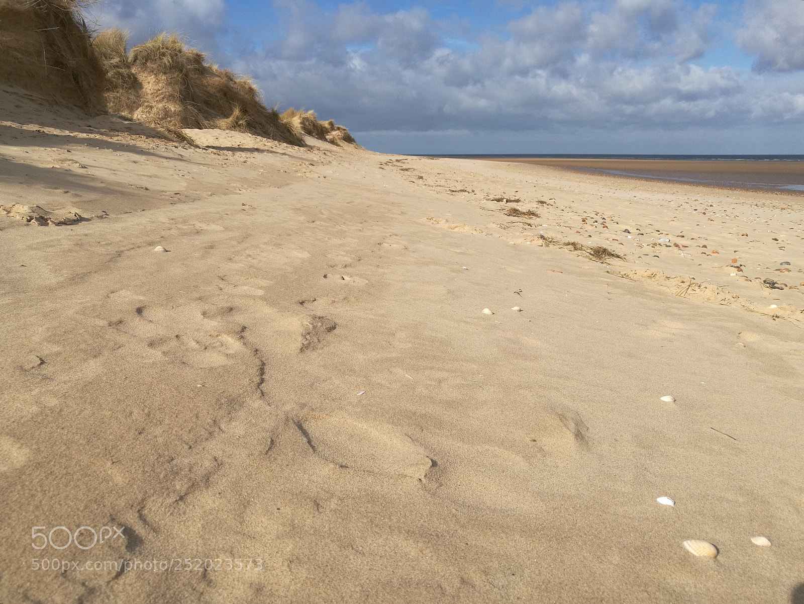HUAWEI Honor 8 sample photo. Following the dunes photography