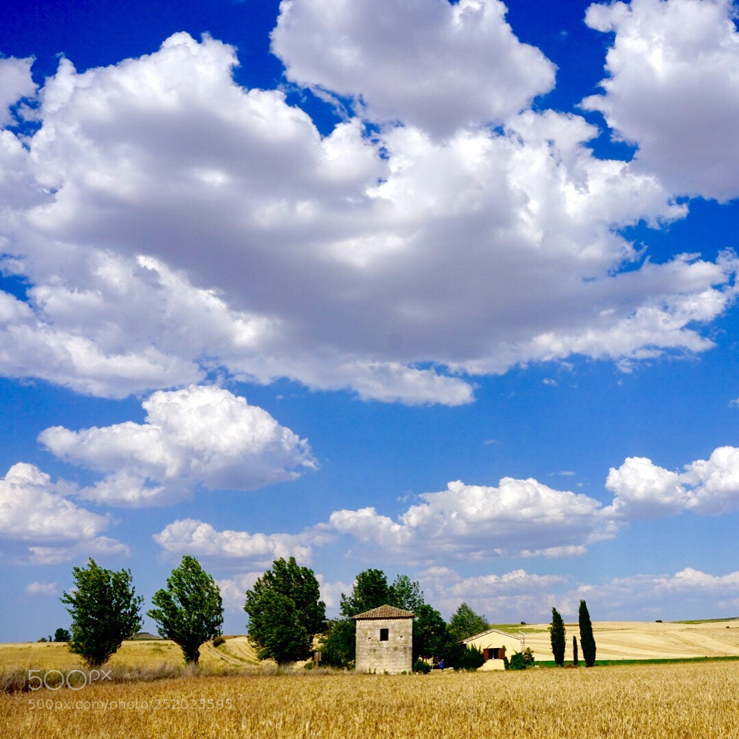 Sony a6000 sample photo. The landscape is in photography