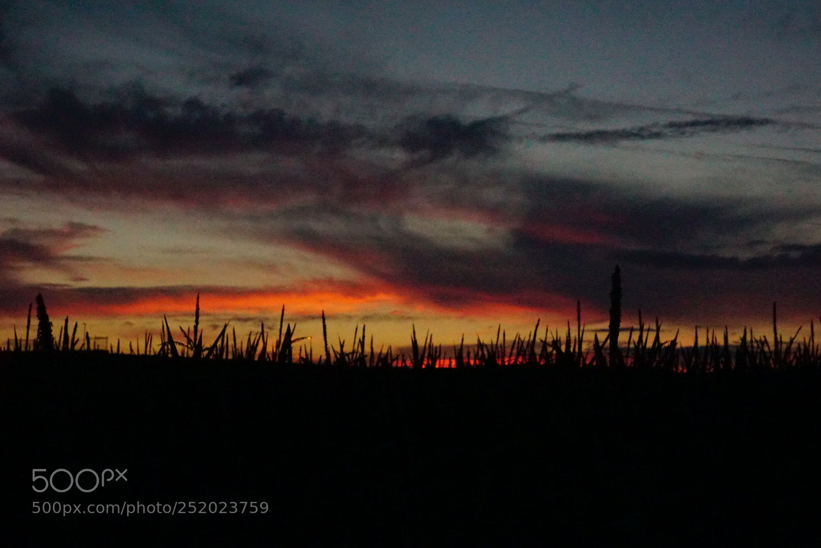 Sony a6000 sample photo. Crops on fire photography