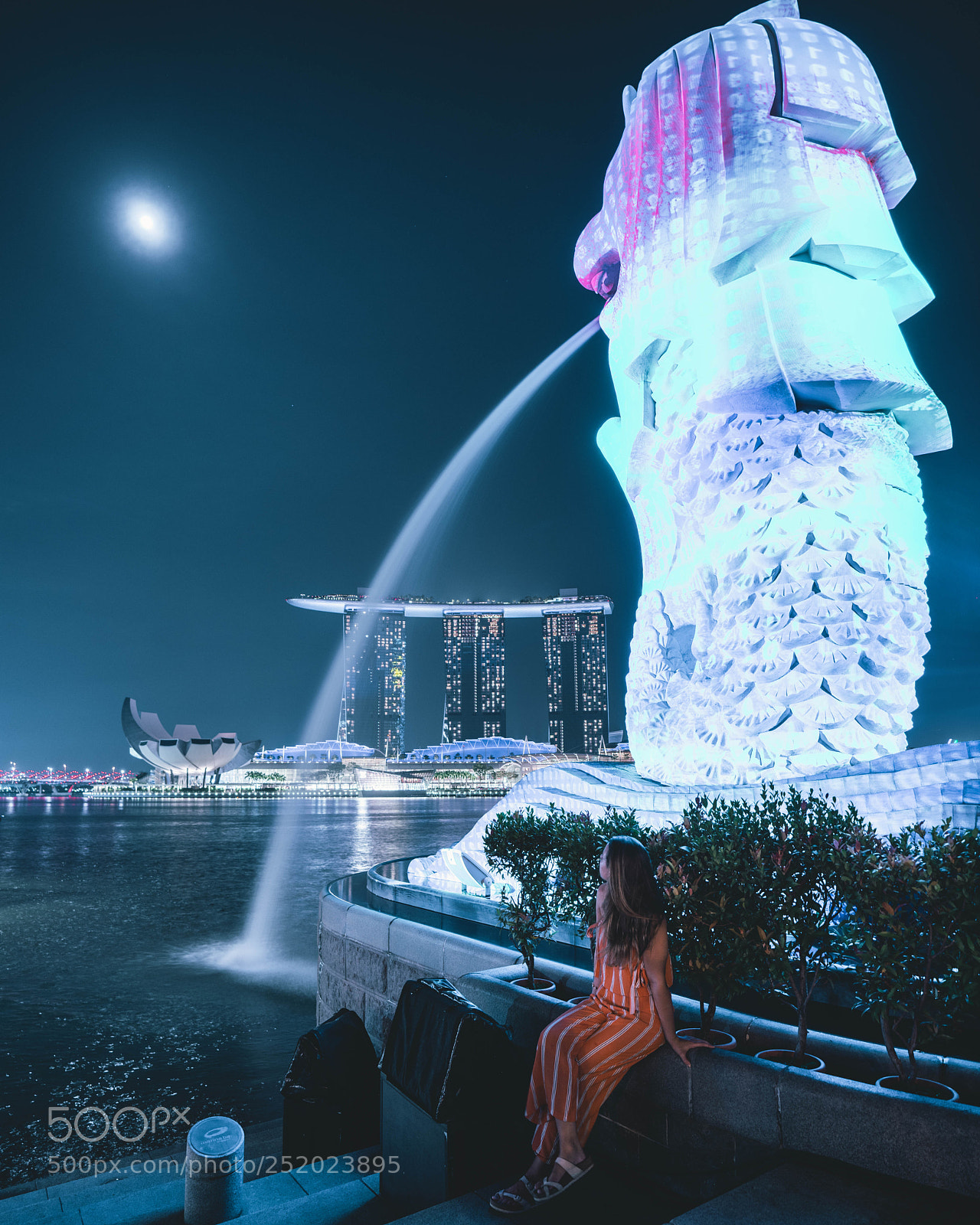 Sony a7R III sample photo. Dsc photography