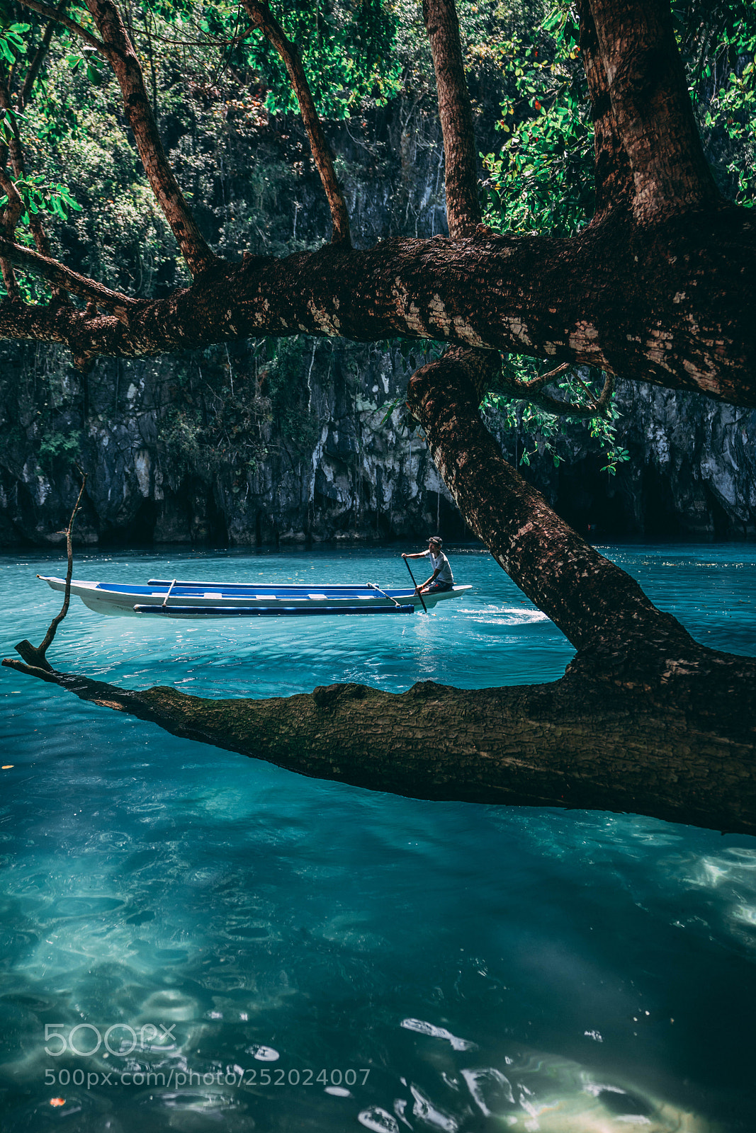 Sony a7R III sample photo. Dsc photography