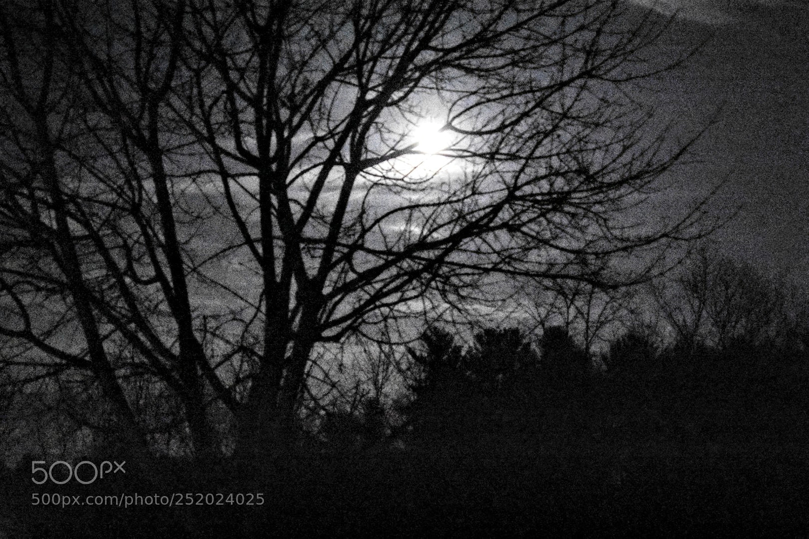 Nikon D3400 sample photo. Untitled photography