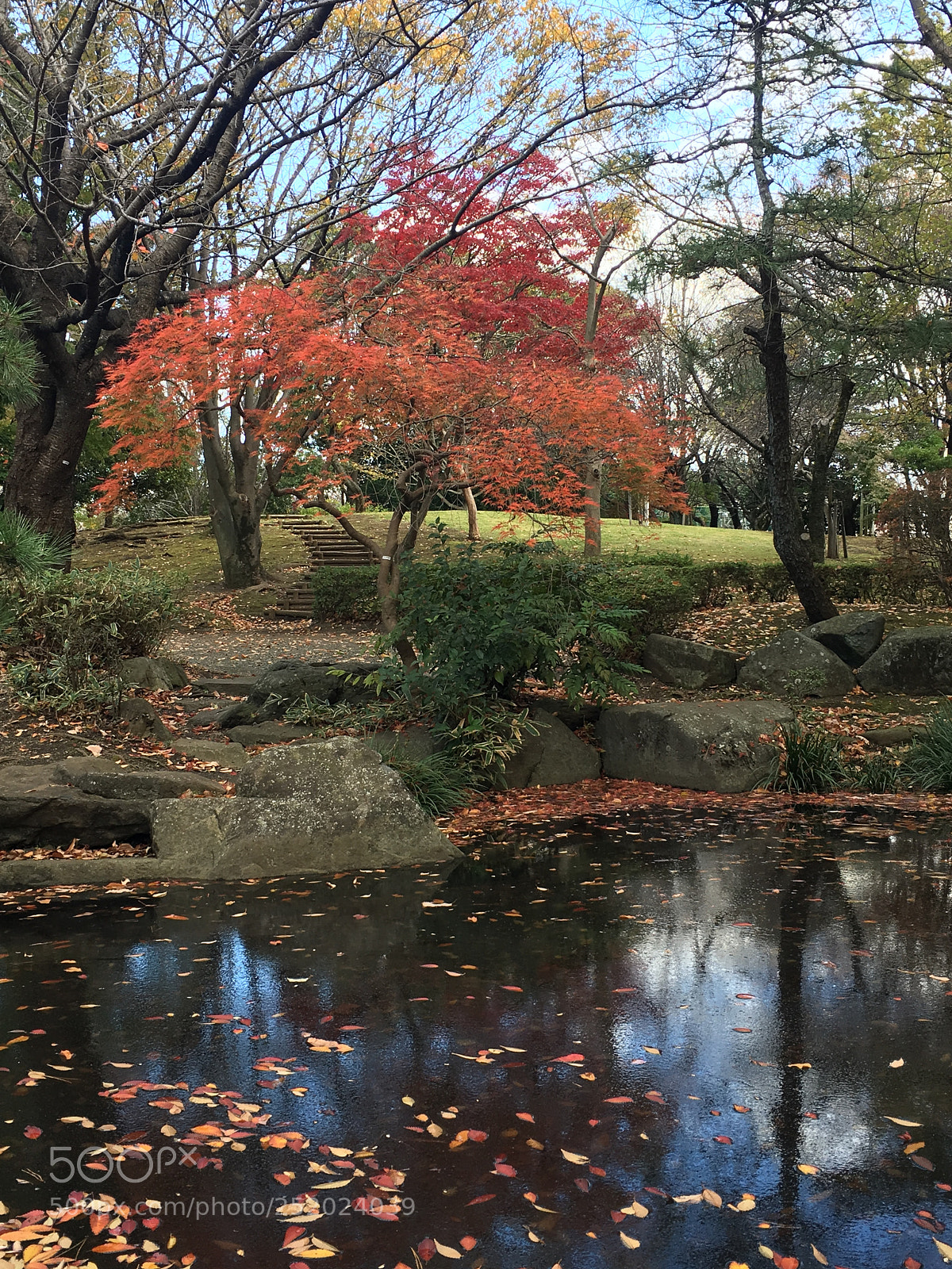 Apple iPhone 6s Plus sample photo. Img photography