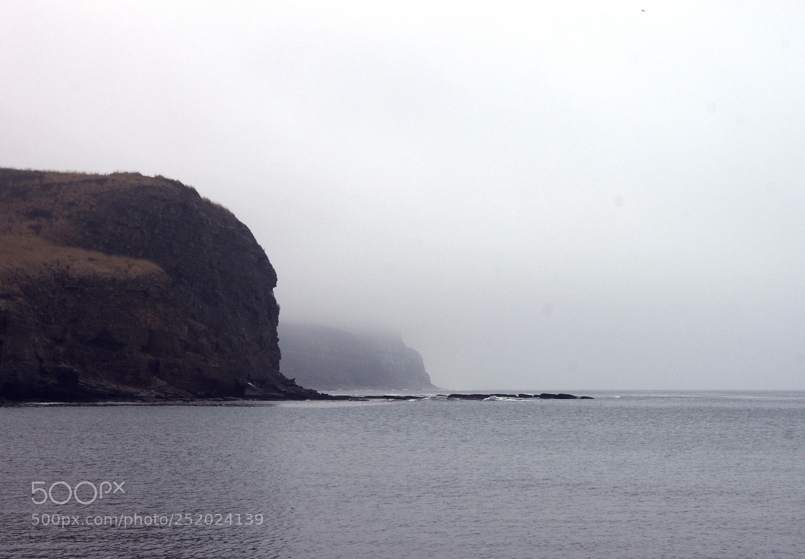Canon EOS 500D (EOS Rebel T1i / EOS Kiss X3) sample photo. Foggy coast photography