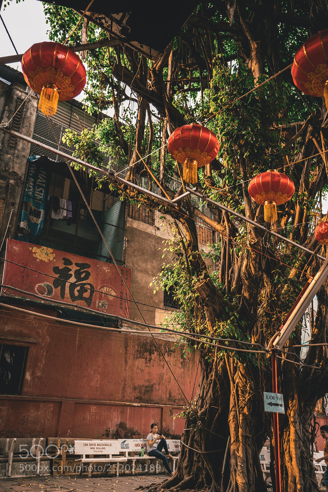 Sony a7R III sample photo. Dsc photography