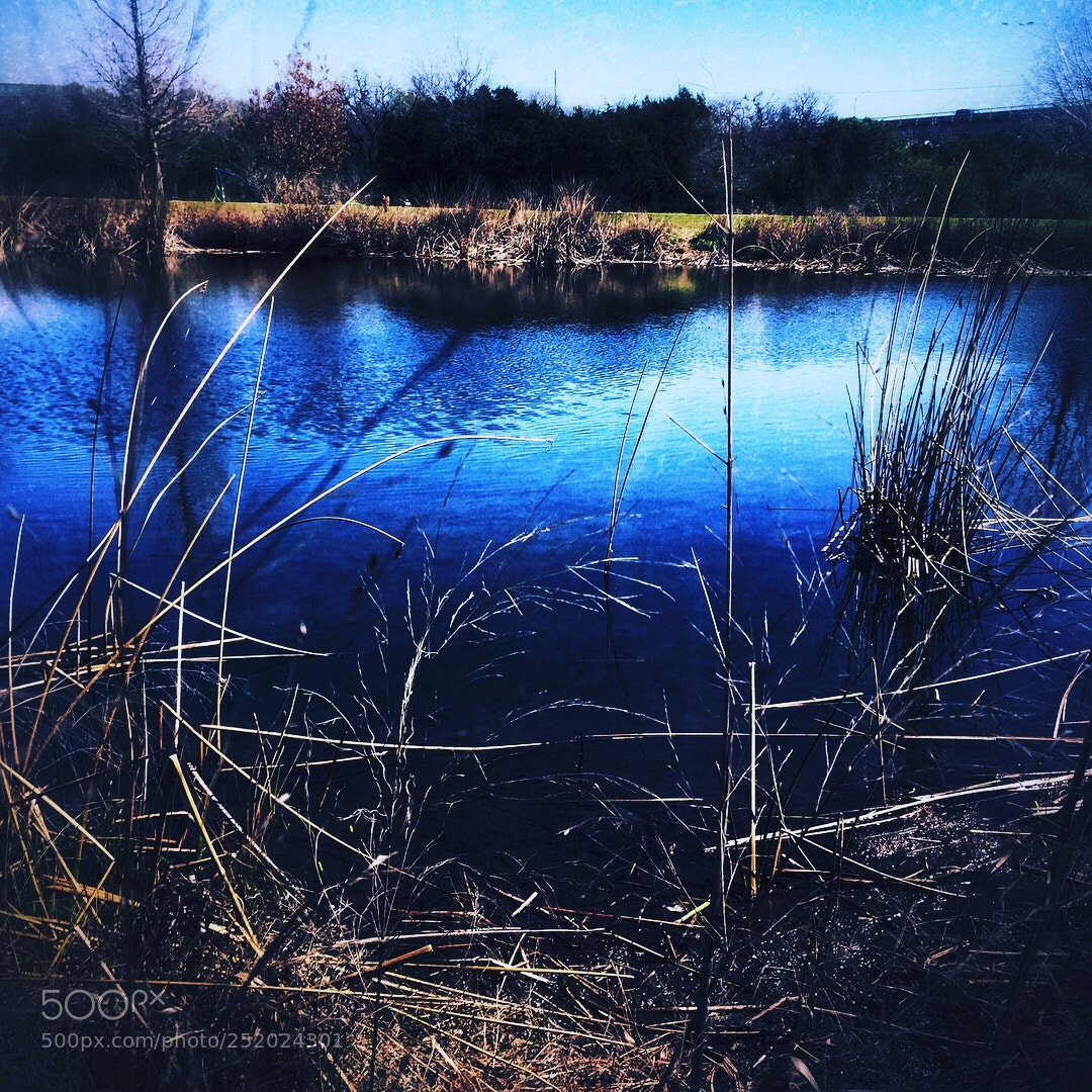 Apple iPhone 6 sample photo. Beside the pond photography
