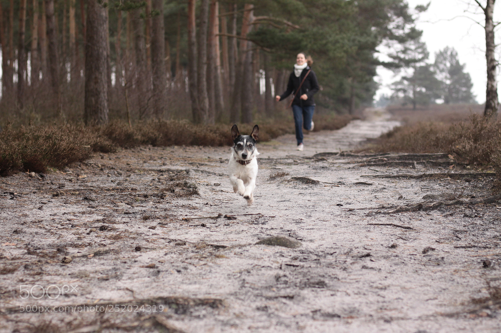 Canon EOS 50D sample photo. Jump photography