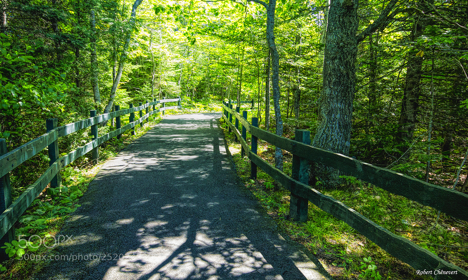 Canon EOS 60D sample photo. Hinking trail photography