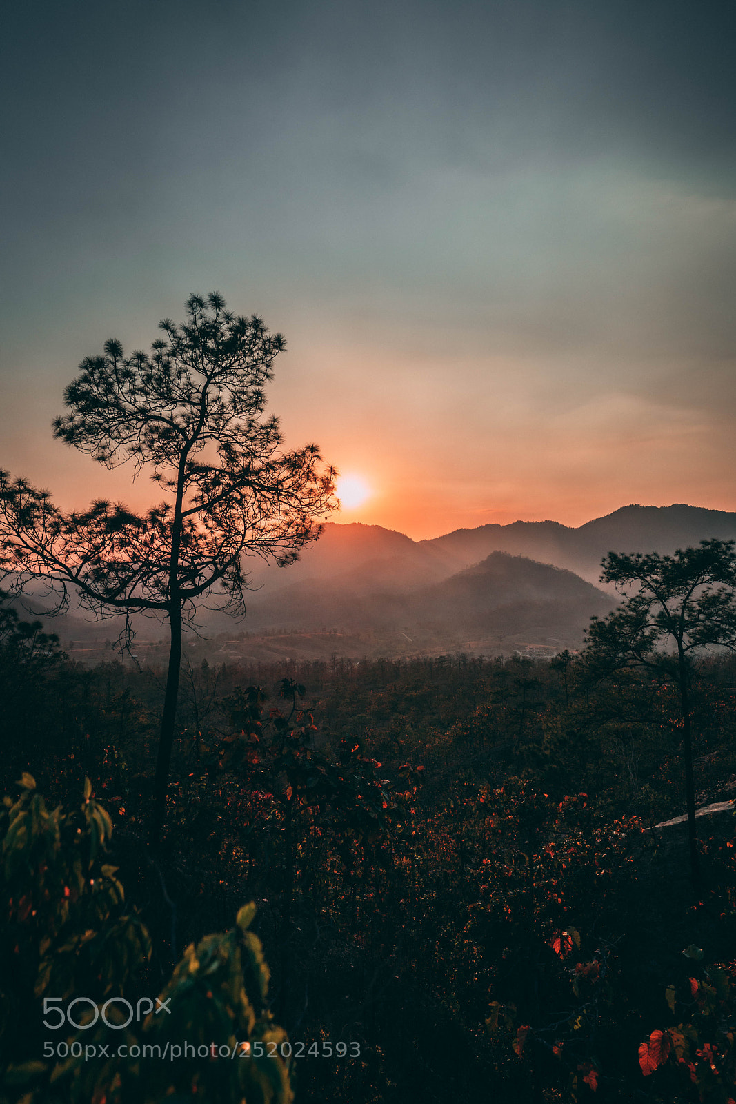 Sony a7R III sample photo. Pai canyon photography