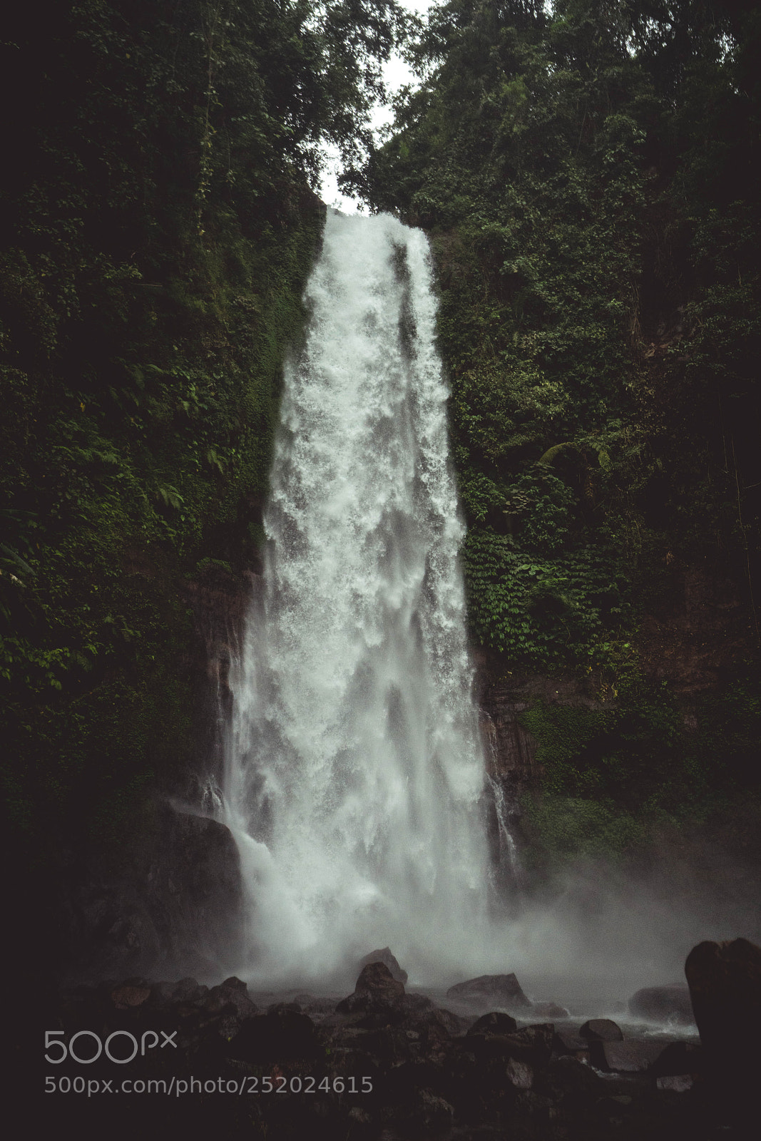 Sony a7R III sample photo. Untitled photography
