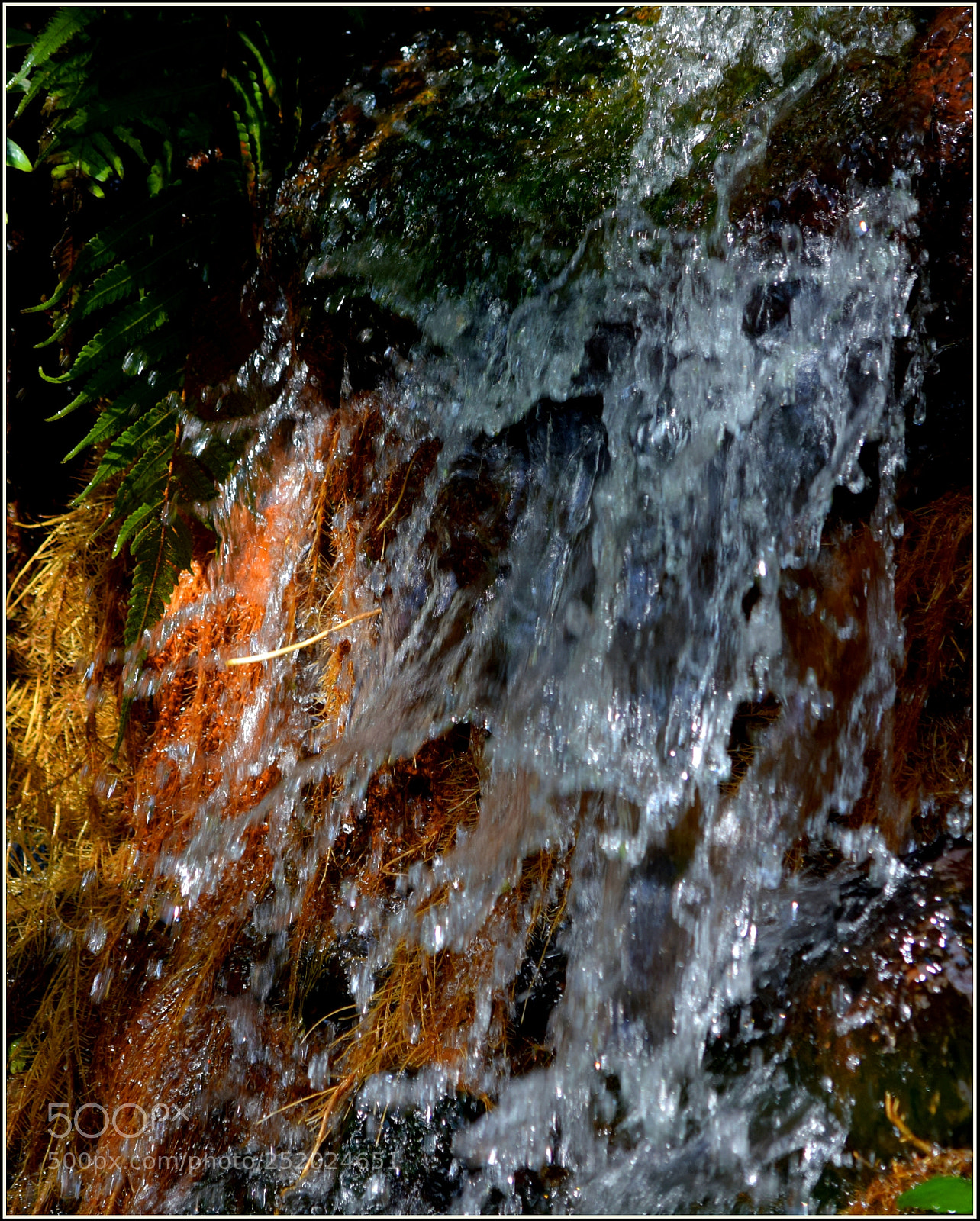 Nikon D5300 sample photo. 2... photography