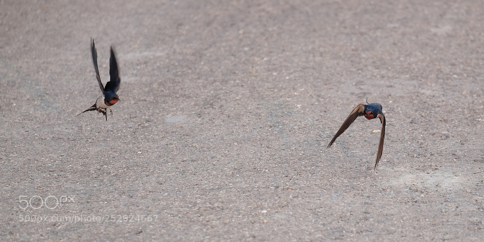 Fujifilm X-T10 sample photo. What's next? photography