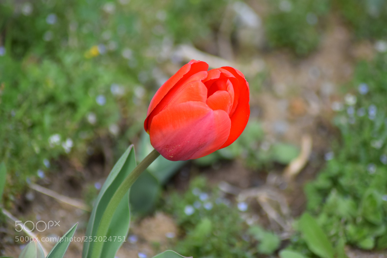 Nikon D3300 sample photo. Untitled photography