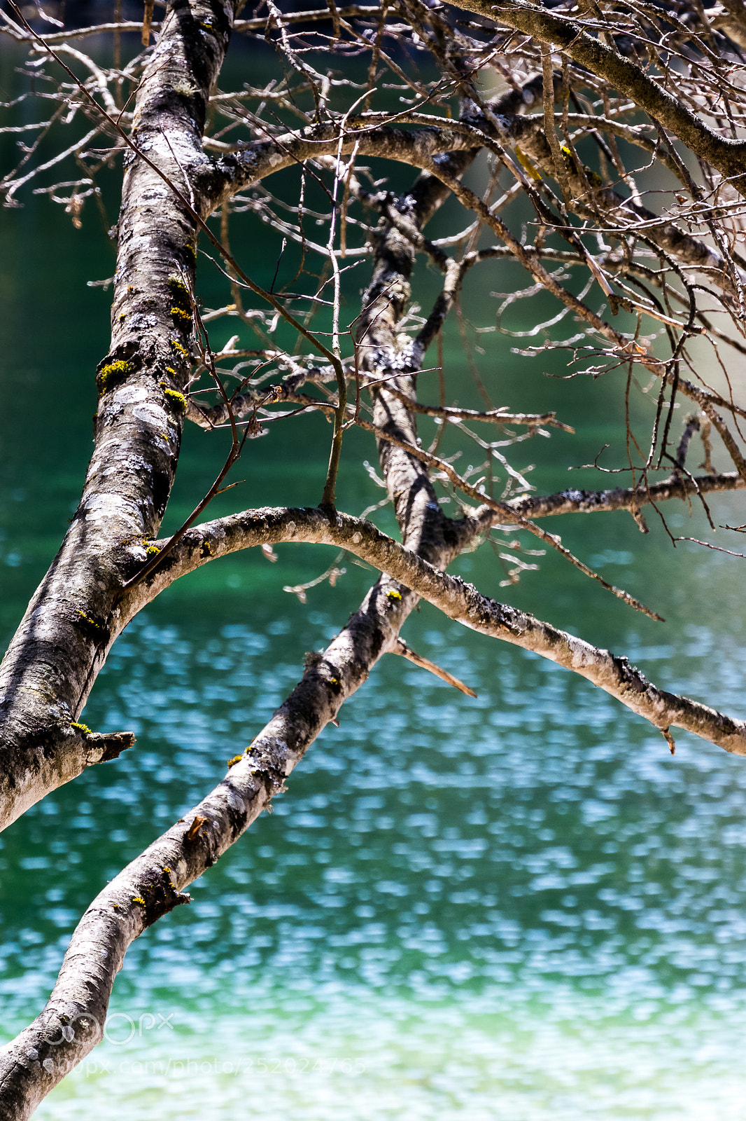 Nikon 1 J5 sample photo. ***** photography