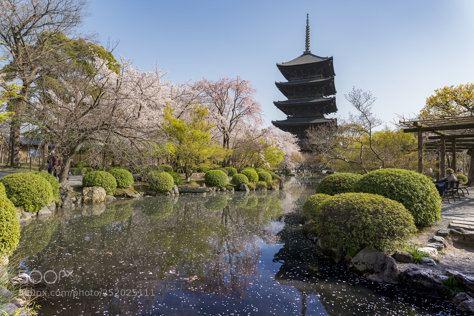 Sony a7R II sample photo. Untitled photography