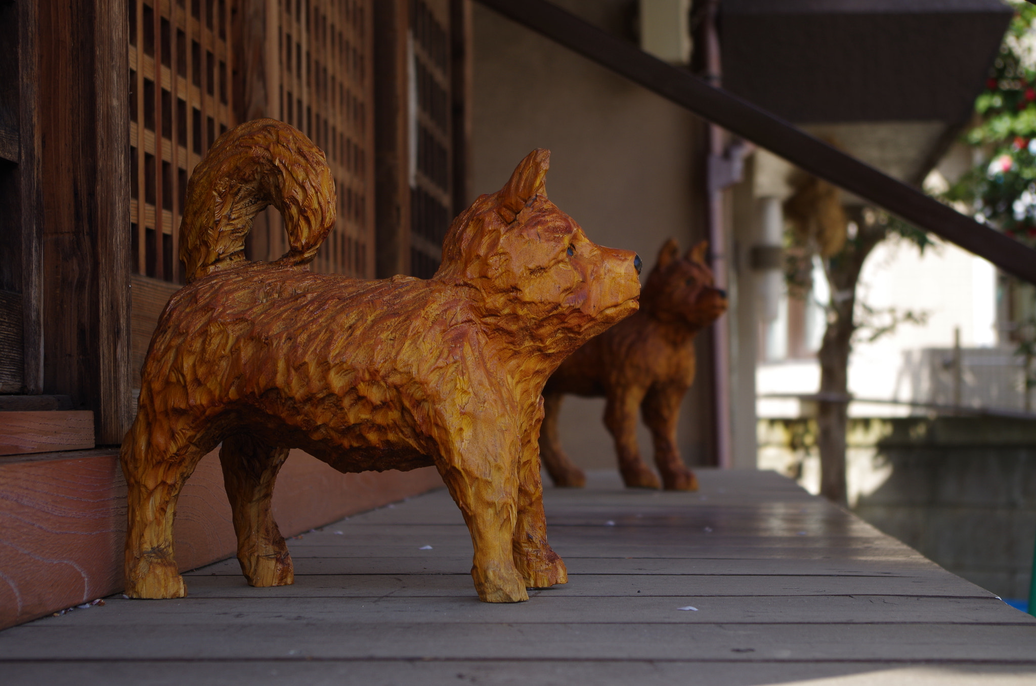 smc PENTAX-DA L 18-55mm F3.5-5.6 sample photo. Guardian dog photography
