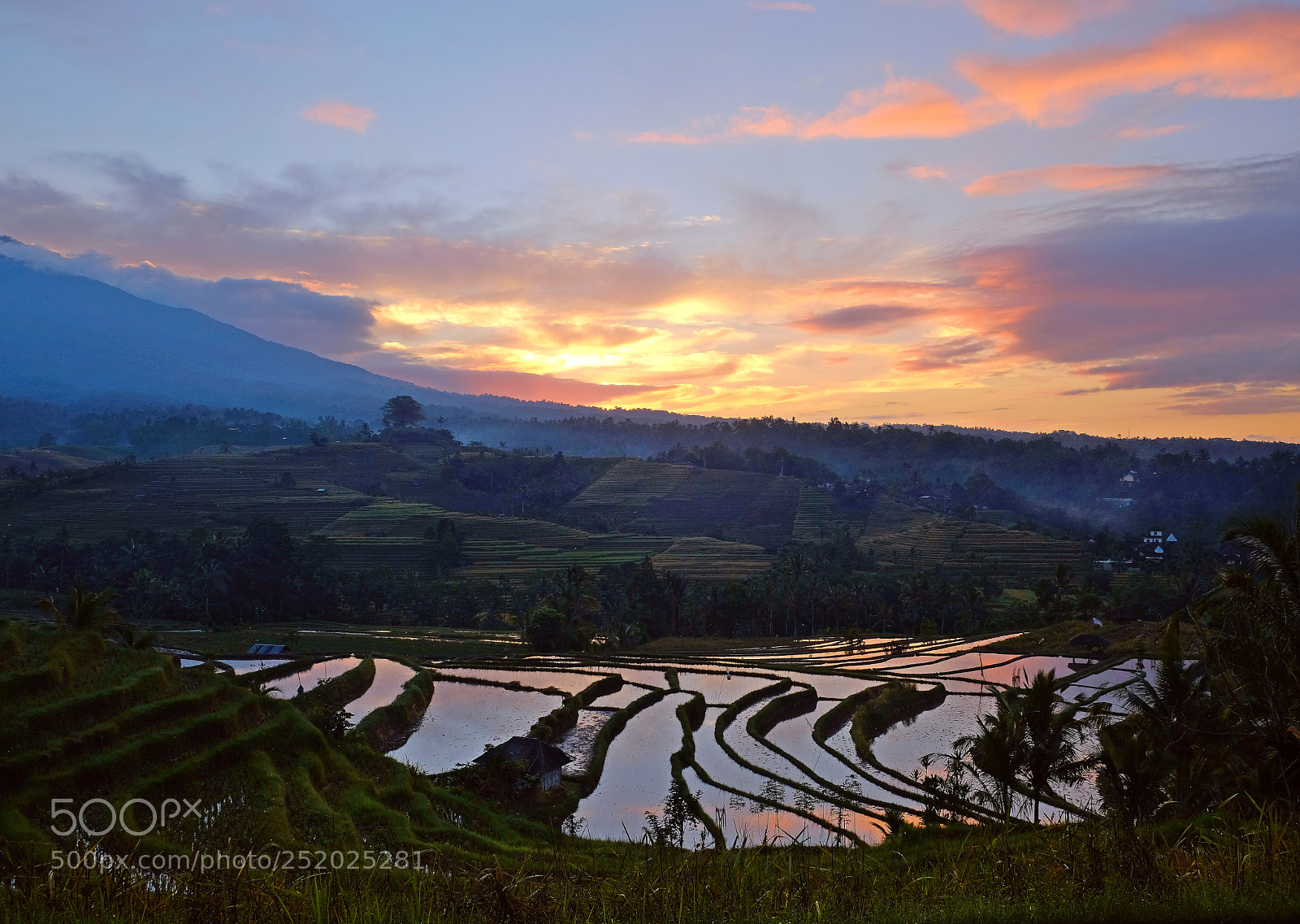 Fujifilm X-T2 sample photo. Rice terraces, belimbing, bali photography