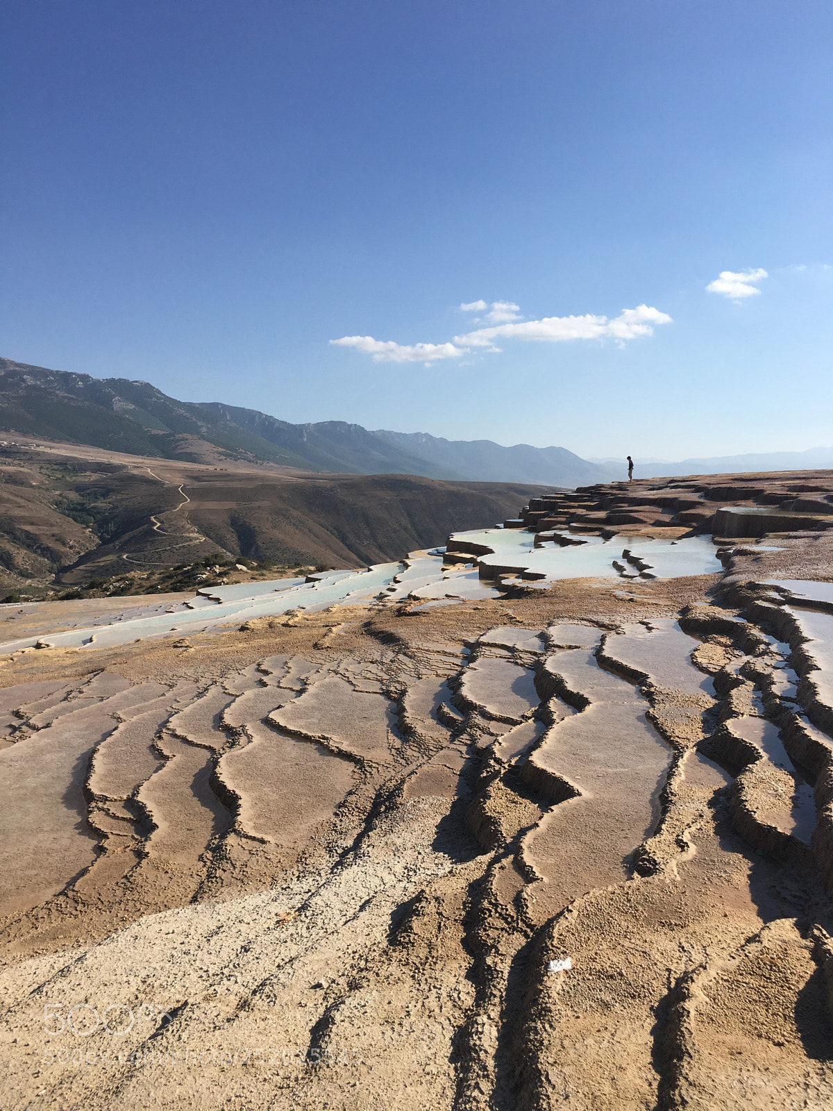 Apple iPhone 6s sample photo. Badab soort spring photography