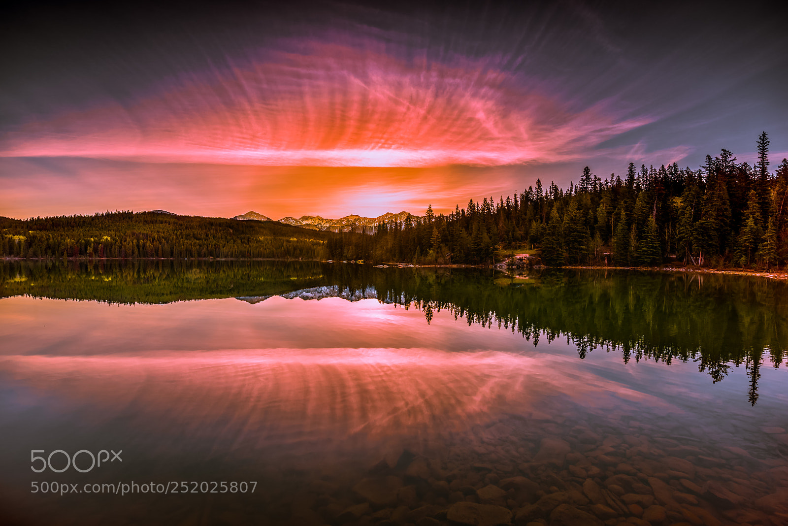 Nikon D810 sample photo. Morning at lake photography