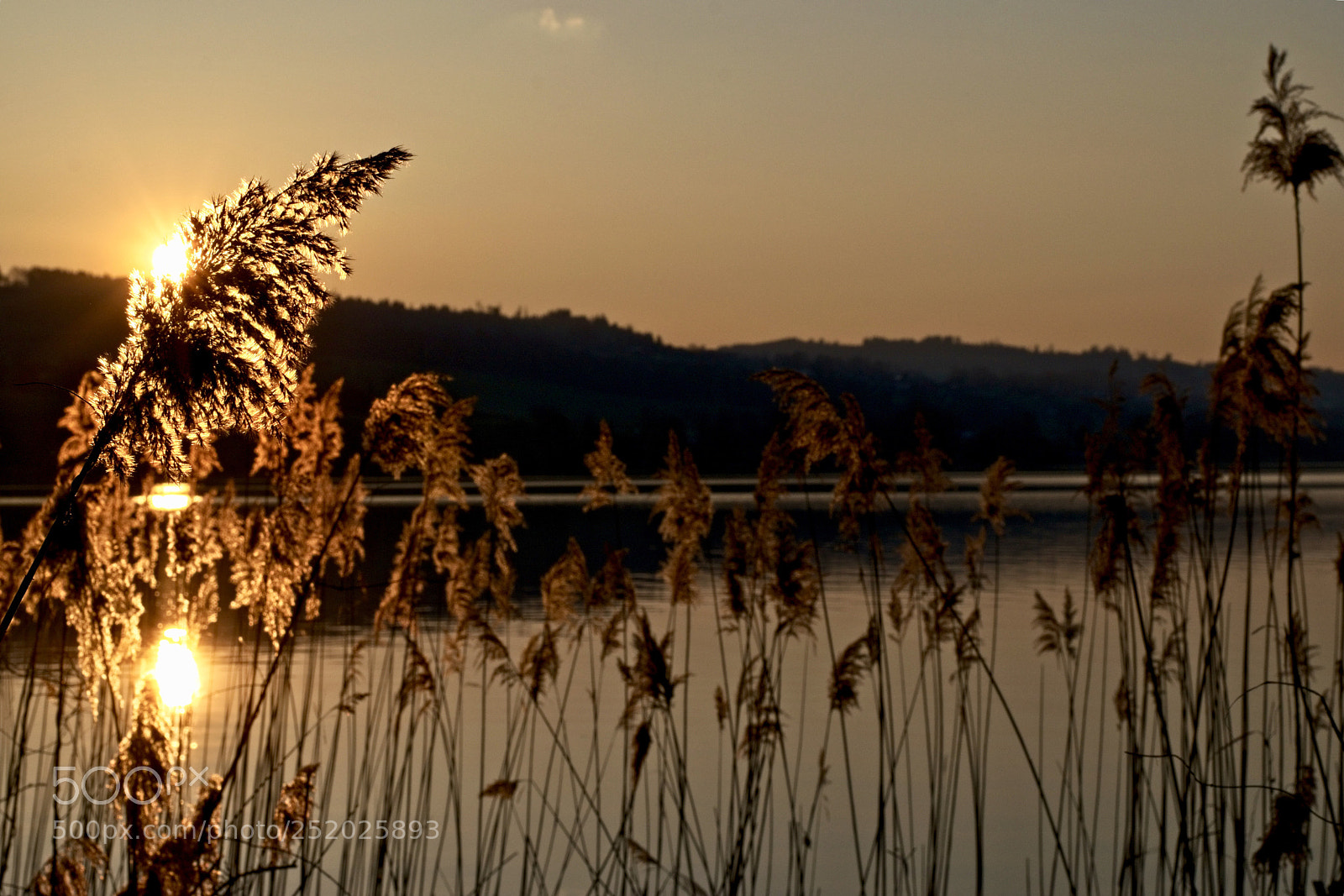 Nikon D3300 sample photo. Sunset sempach photography