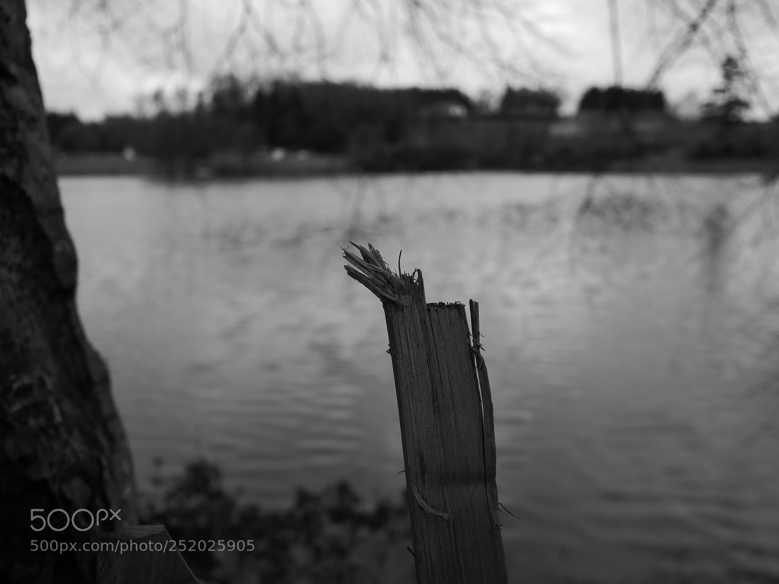Panasonic Lumix DMC-GX85 (Lumix DMC-GX80 / Lumix DMC-GX7 Mark II) sample photo. Untitled photography