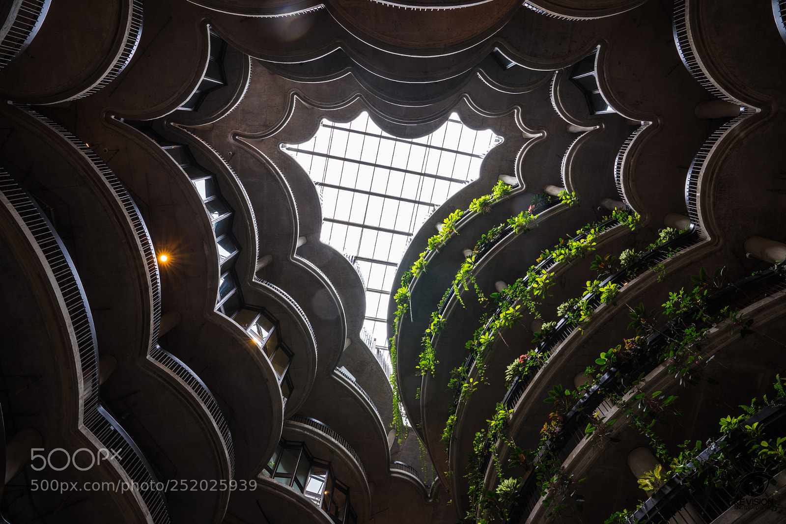 Sony a7 III sample photo. Inside the hive 2 photography