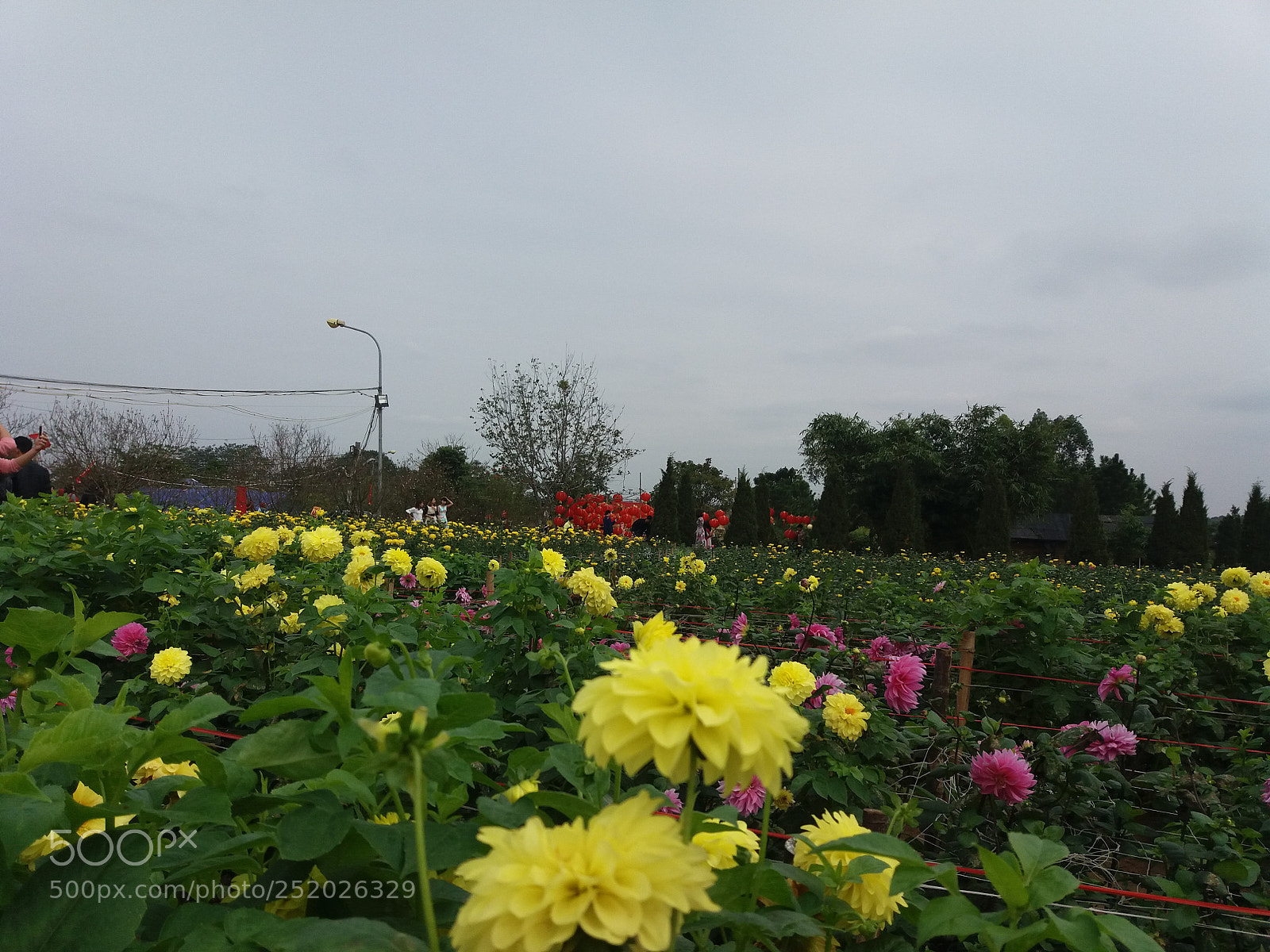 Samsung Galaxy J5 sample photo. Nh ng m u photography