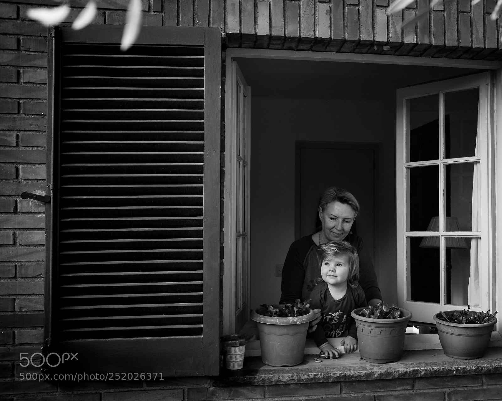 Fujifilm X-T2 sample photo. Sunshine in the window photography