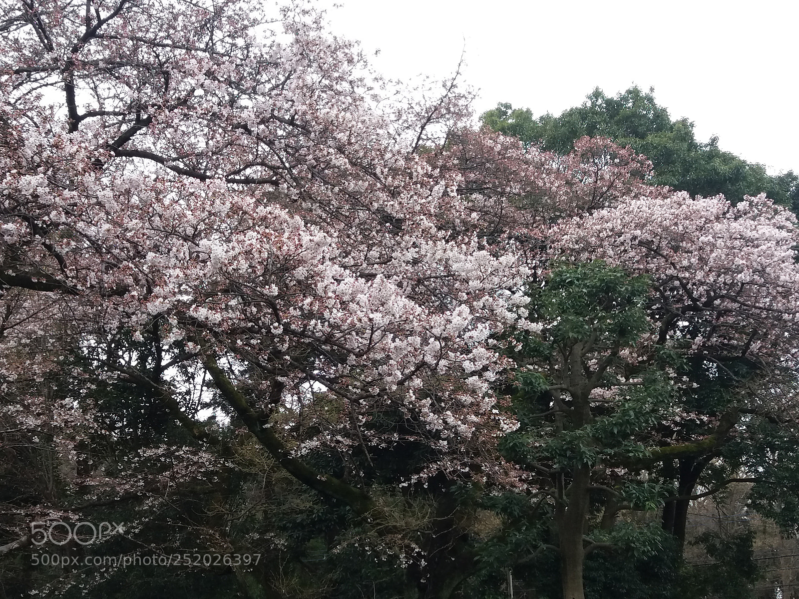 Samsung Galaxy J5 sample photo. Nh ng m u photography