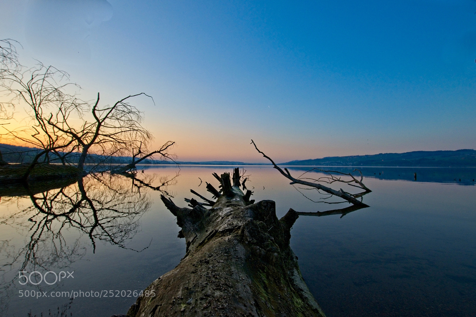 Nikon D3300 sample photo. Tree in  lake photography