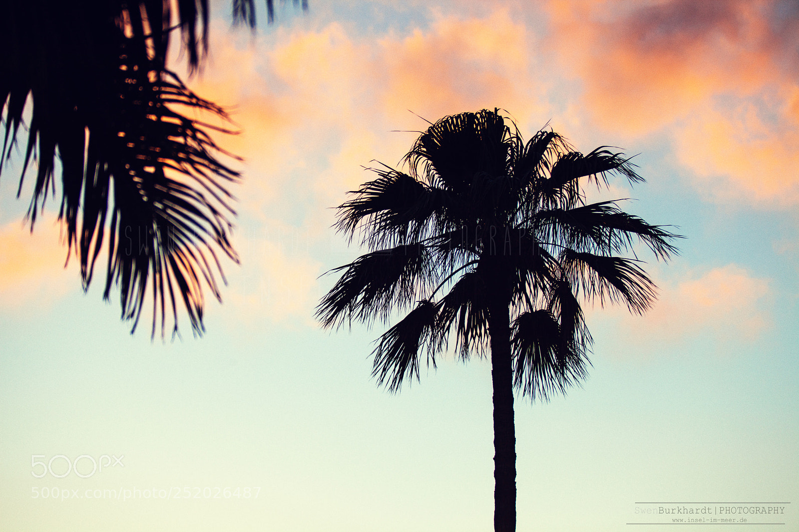 Canon EOS 5D Mark II sample photo. Chill photography