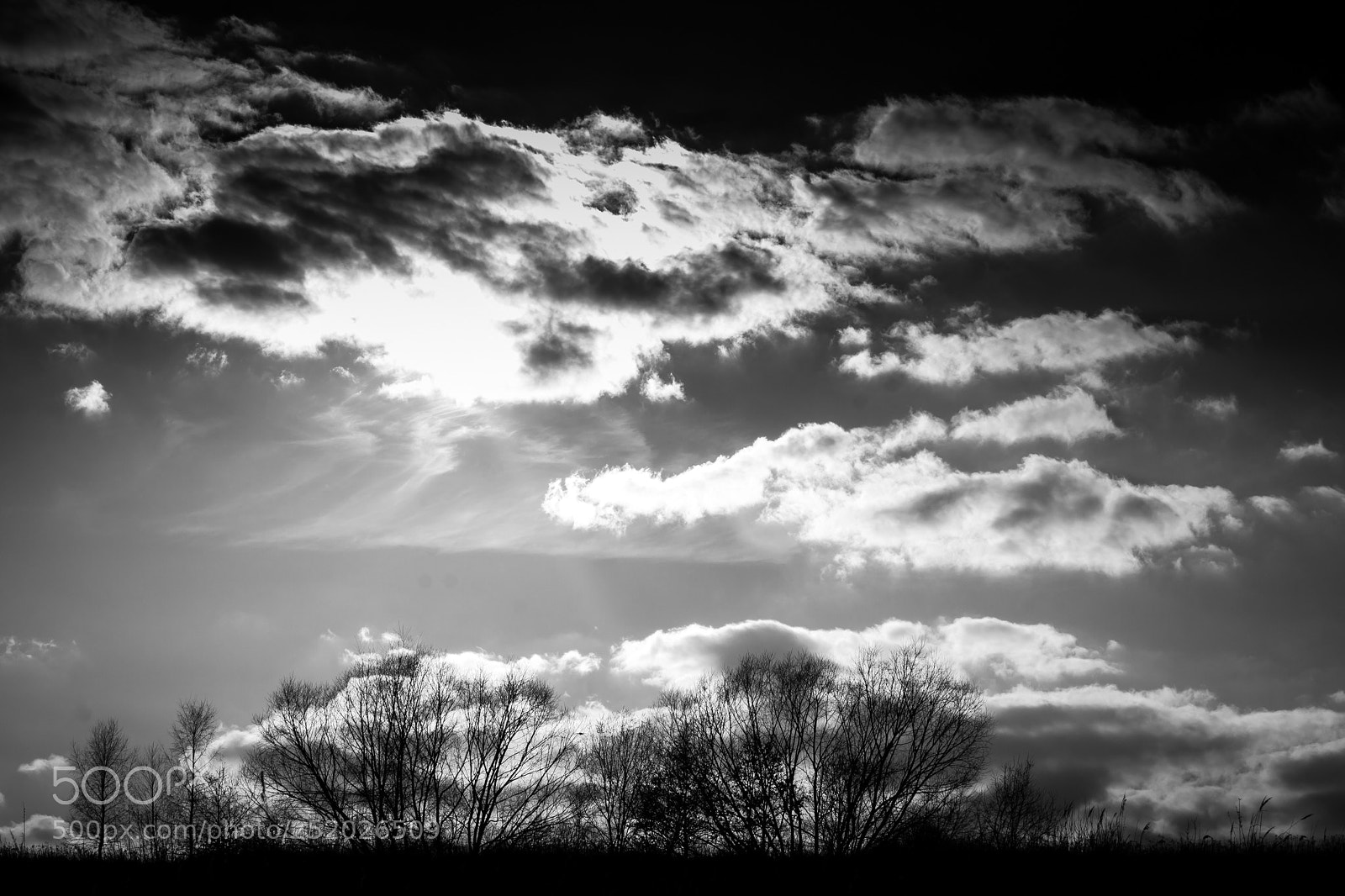 Canon EOS 1100D (EOS Rebel T3 / EOS Kiss X50) sample photo. Monochrome spectacle of clouds. photography