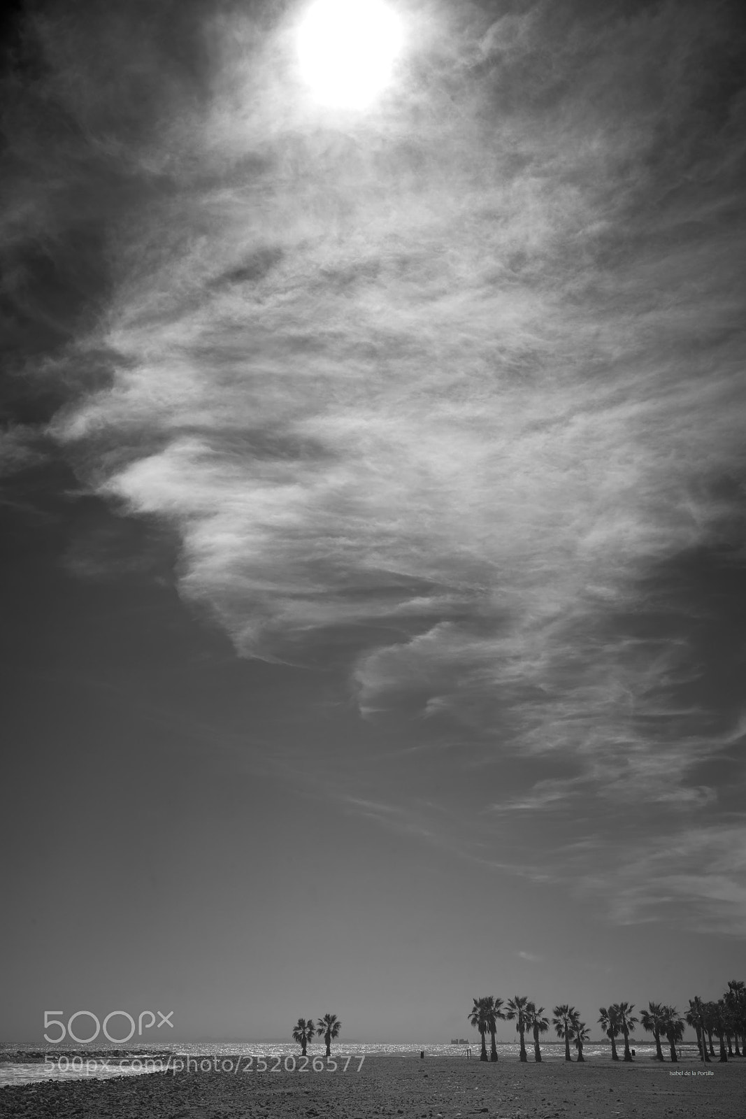 Sony a7R II sample photo. Cotton candy cloud or photography