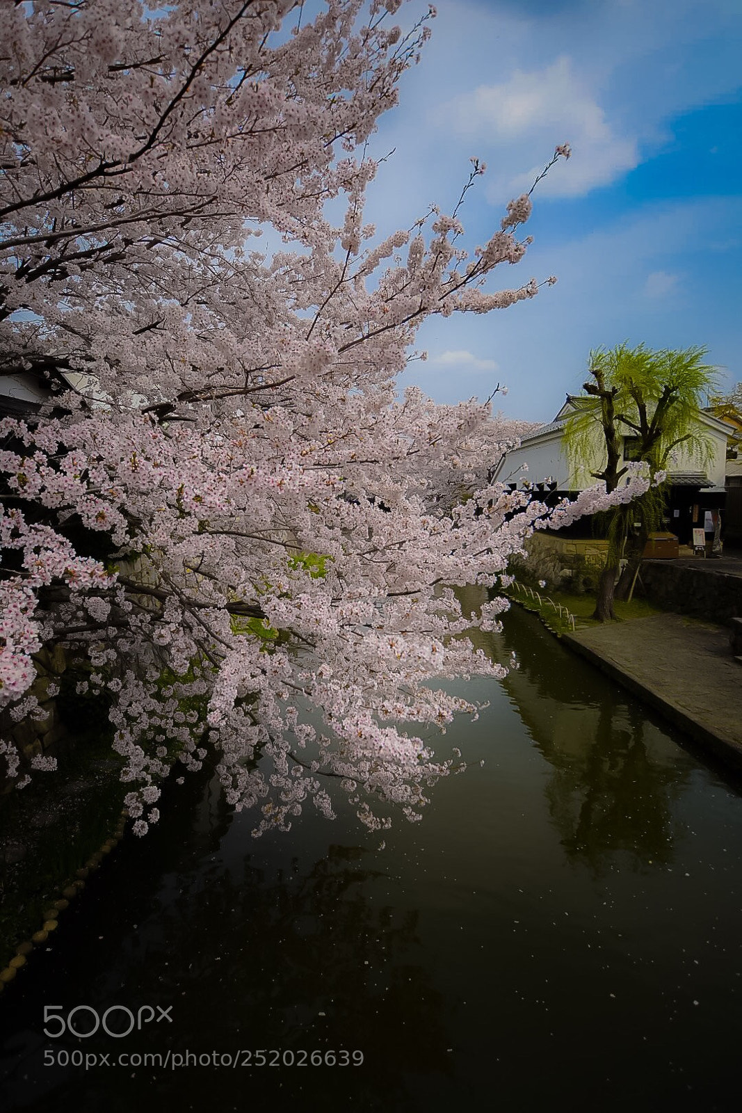 Nikon D7200 sample photo. 八幡堀 photography