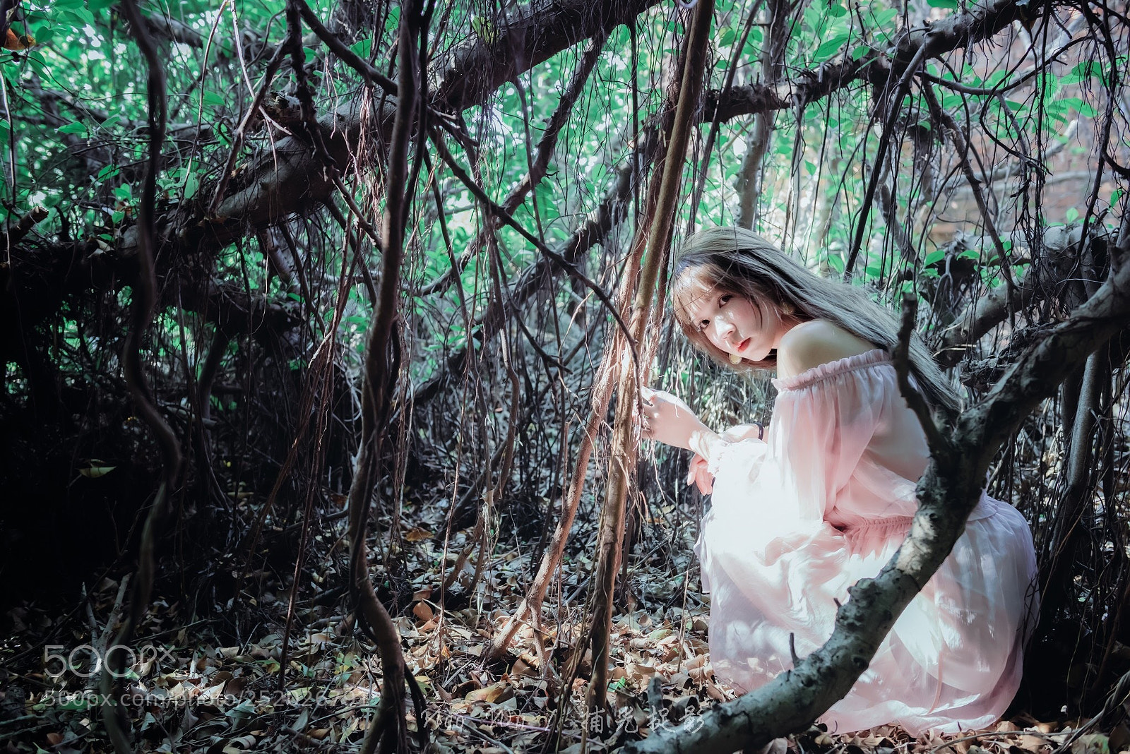 Nikon D810 sample photo. Untitled photography