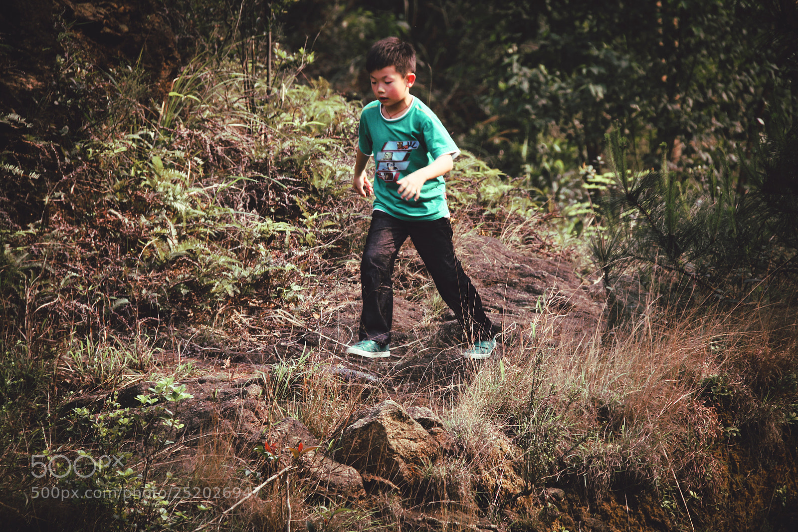 Canon EOS 60D sample photo. Untitled photography