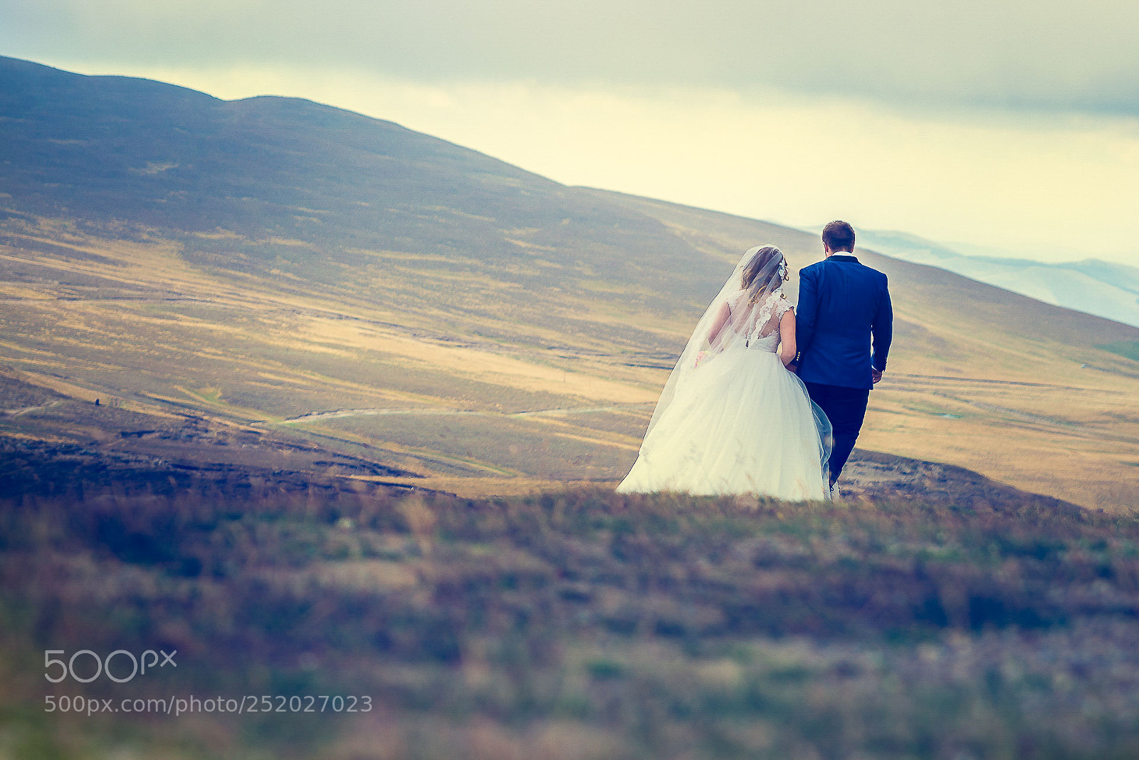 Nikon D610 sample photo. Edit photography