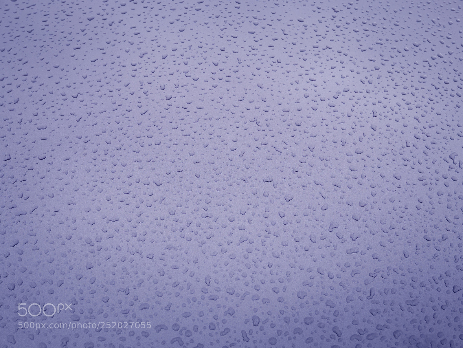 Panasonic Lumix DMC-LX100 sample photo. Raindrops on violet background photography