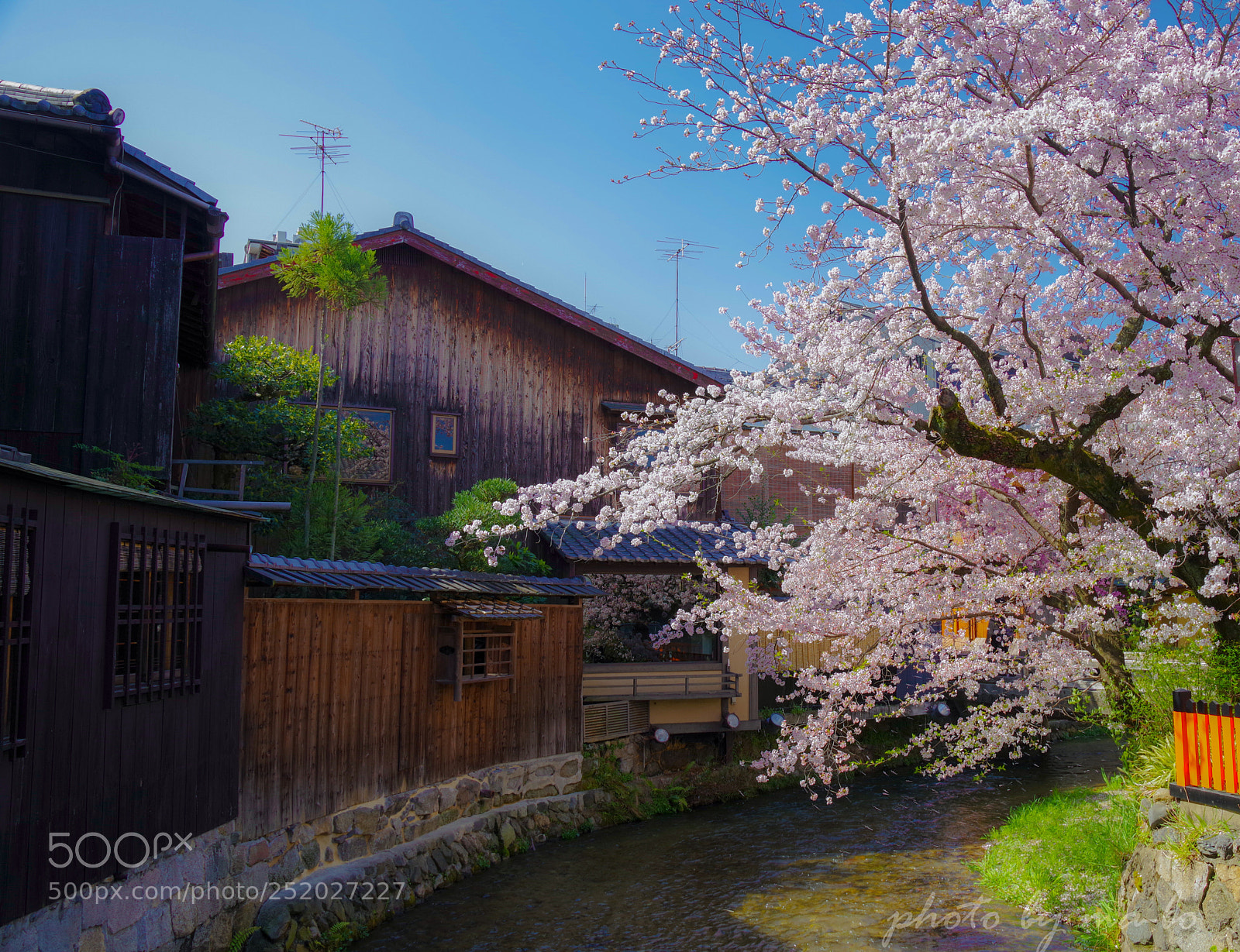 Pentax K-1 sample photo. 祇園白川 photography