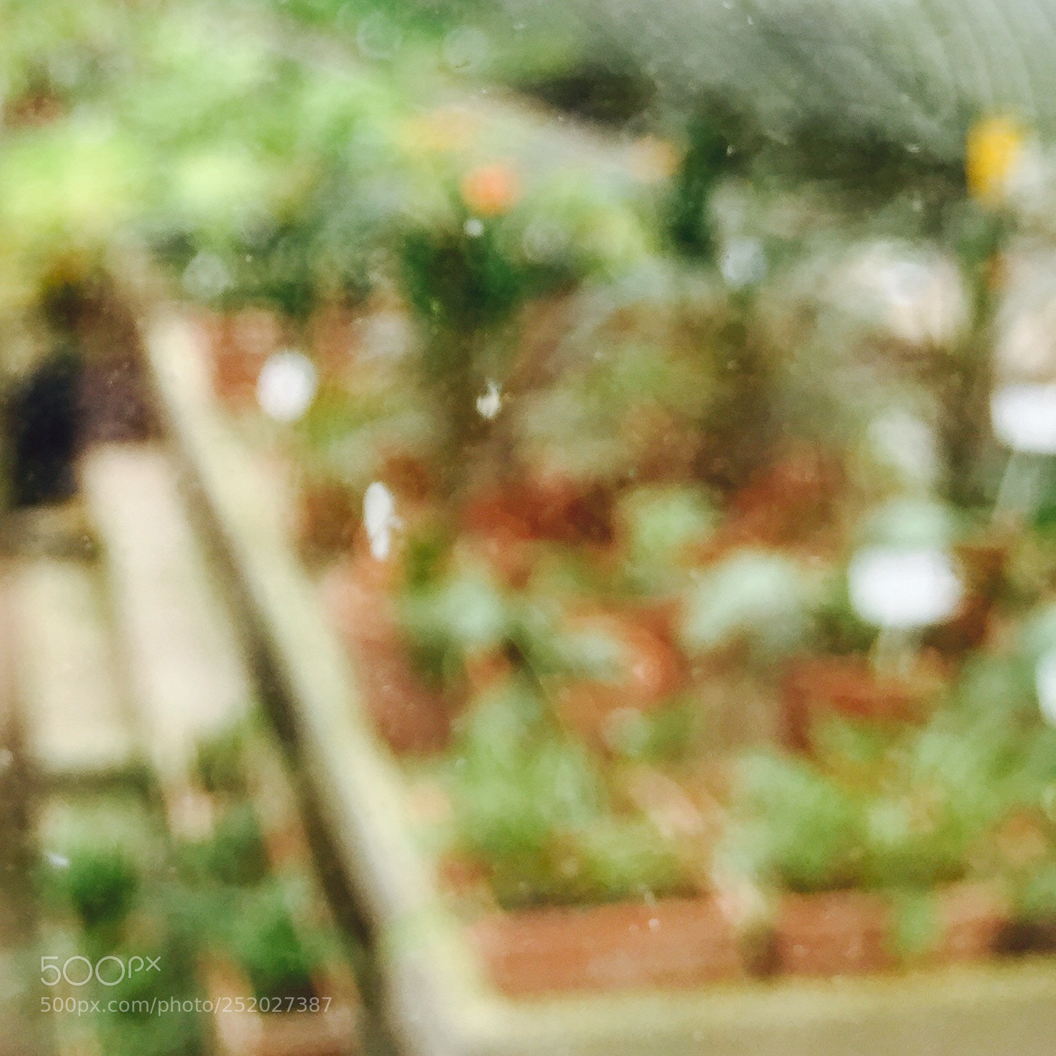 Apple iPhone 6 sample photo. Unfocused  photography