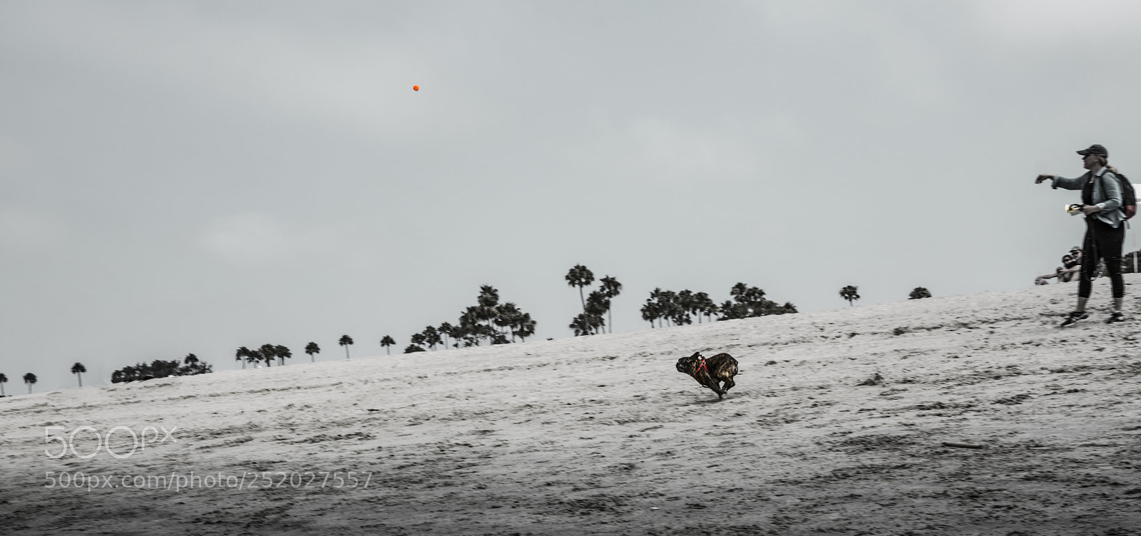 Sony a6000 sample photo. 3...2...1... takeoff photography