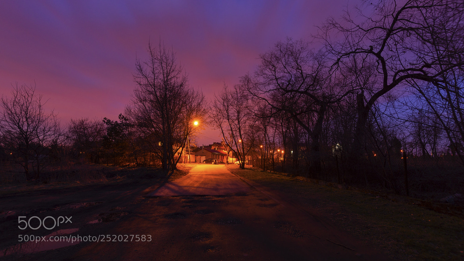 Sony SLT-A65 (SLT-A65V) sample photo. Untitled photography